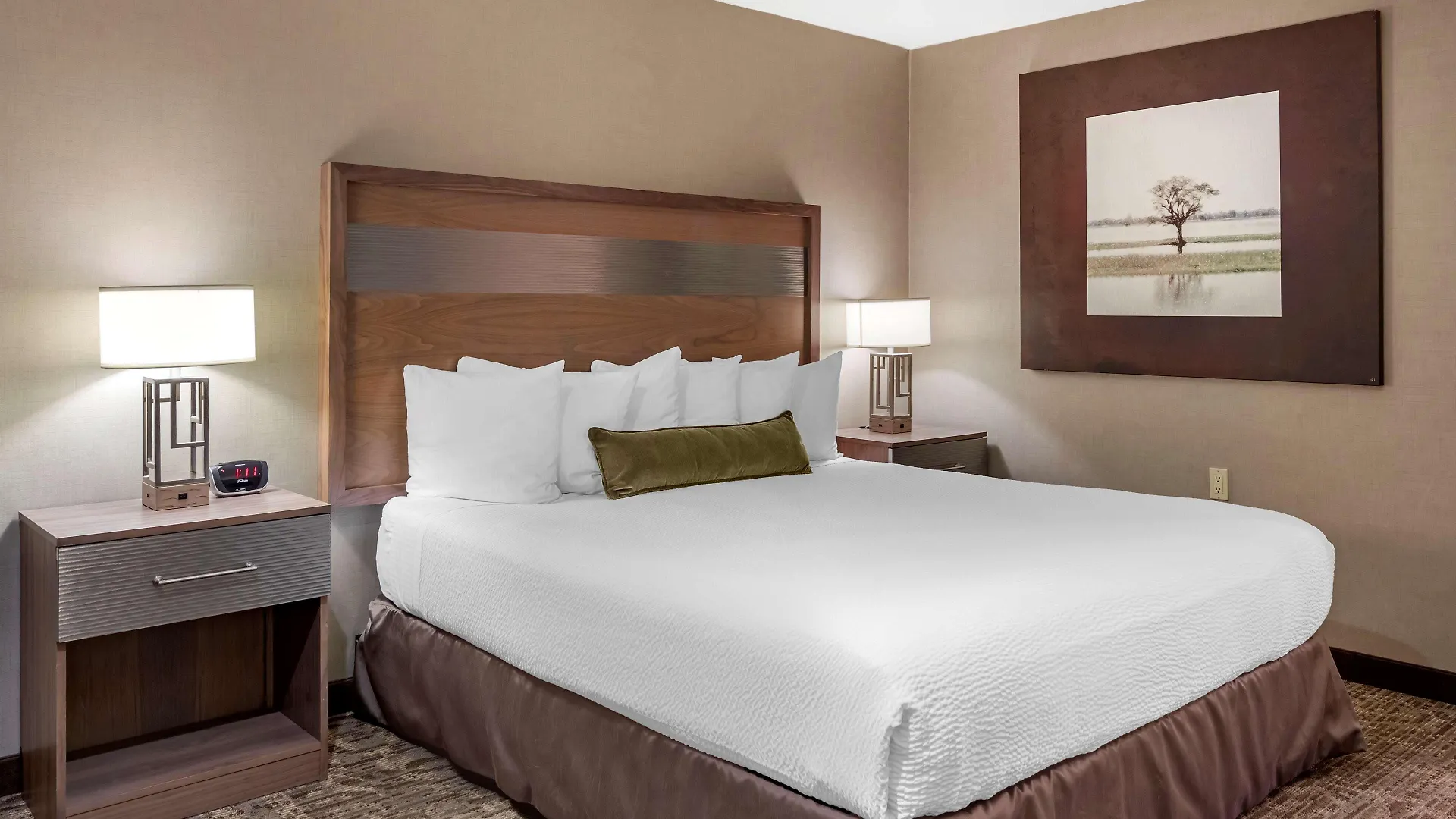 Hotel Best Western Plus Anaheim Inn