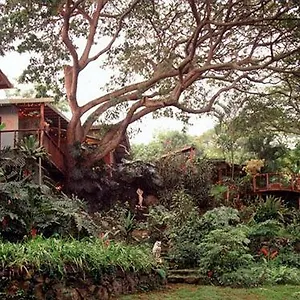Dragonfly Ranch & Eco-spa Gasthof Honaunau-Napoopo